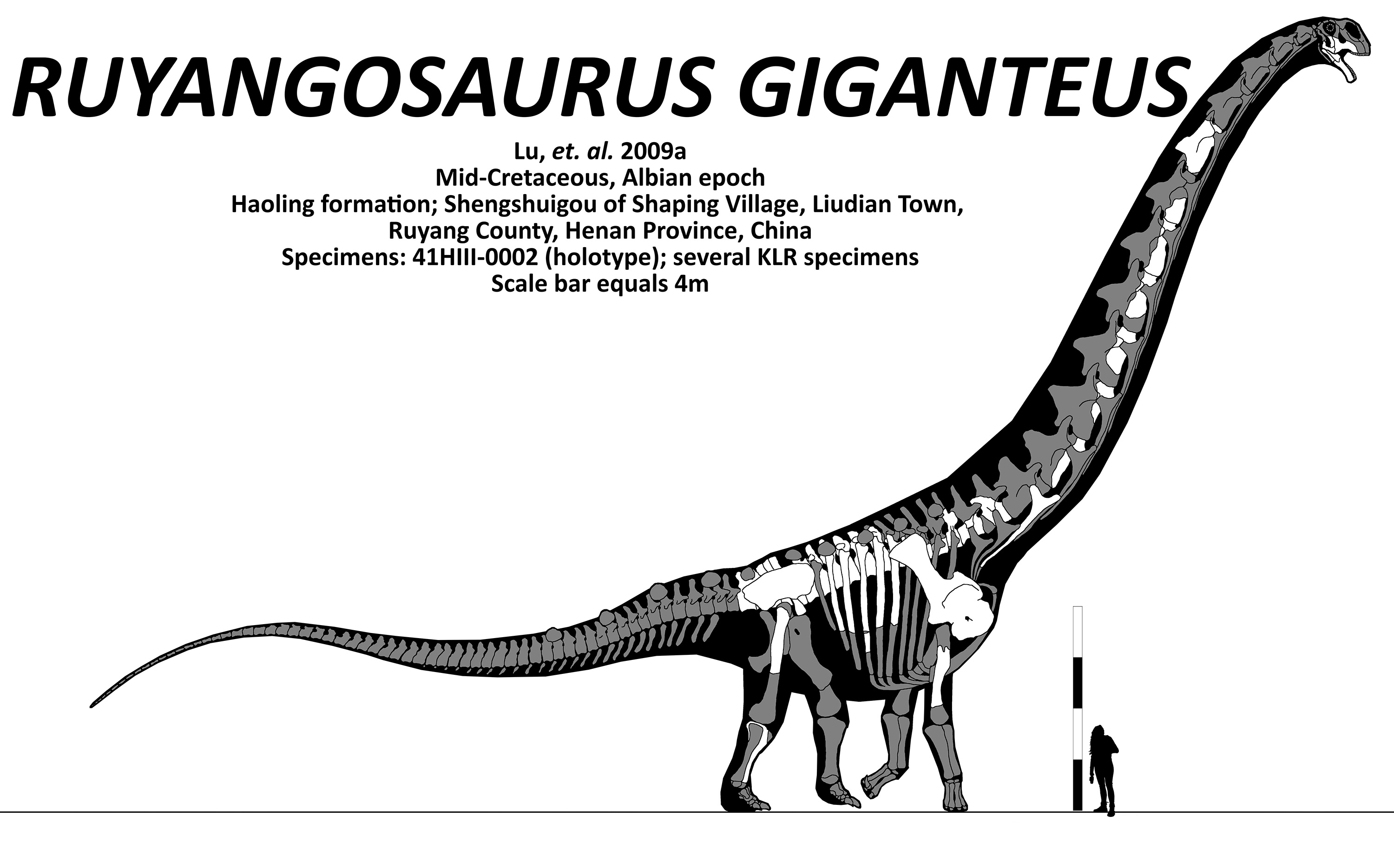 河南汝陽龍化石發掘圖